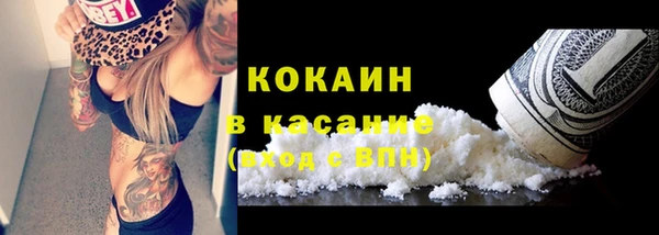 стаф Алзамай