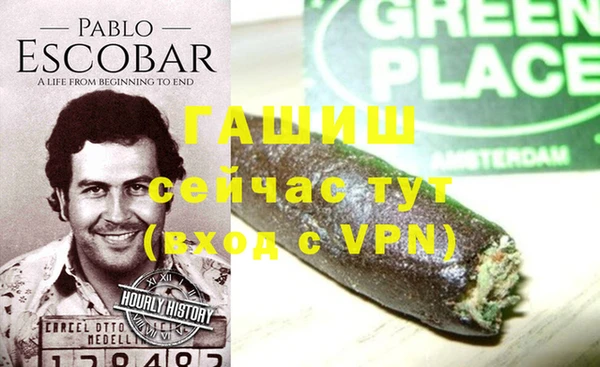 стаф Алзамай