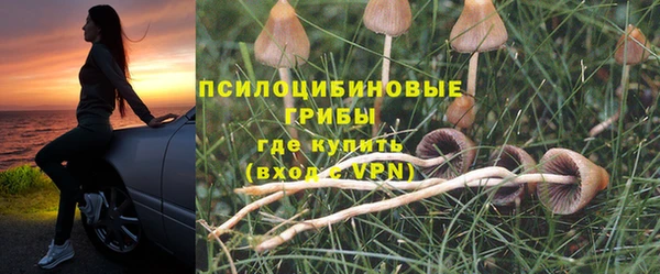 герыч Алексеевка